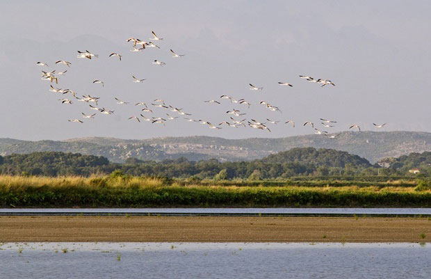 Заглибили због солане: Црна Гора неће затворити преговарачко поглавље 27 све док се не нађе решење за Улцињ
